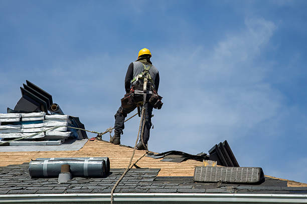 Professional Gutter Installation technician working in Gulf Hammock, FL